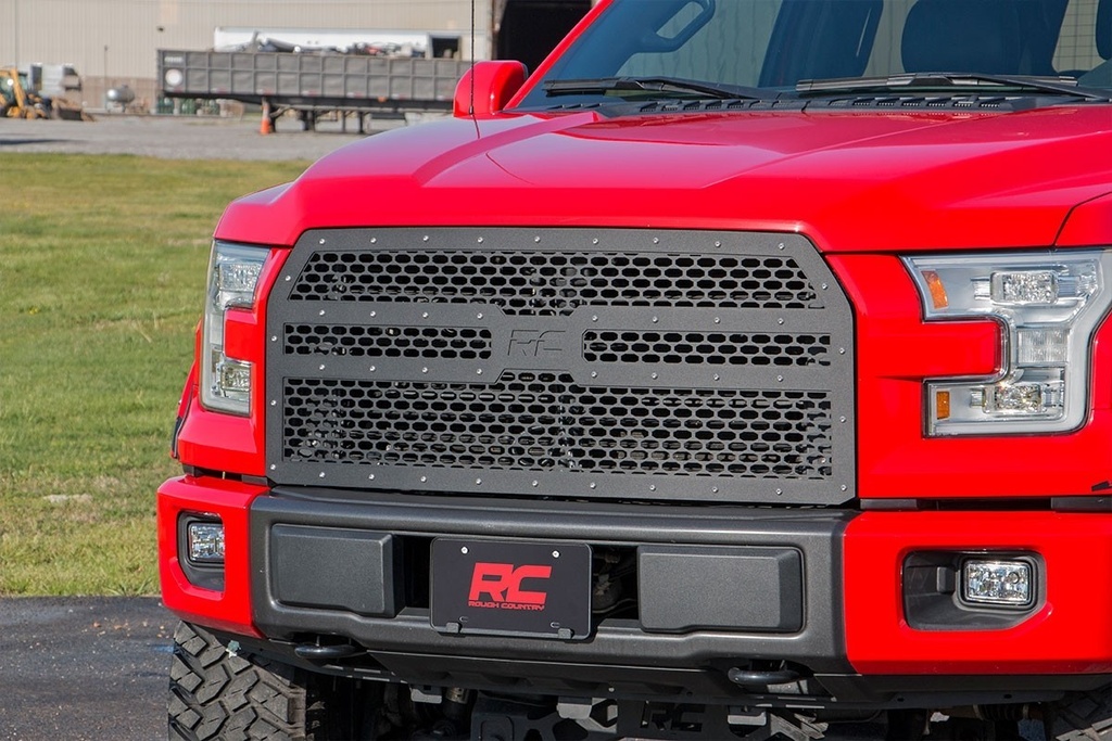 Ford MESH GRILLE 3