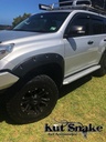 Lokasuojan levike, Toyota Land Cruiser 150 16