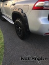 Lokasuojan levike, Toyota Land Cruiser 150 25