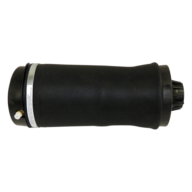 Air Suspension Spring Assembly, Rear