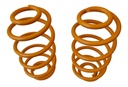 REAR RAPTOR 4X4 SPRINGS WRANGLER TJ +5/6 CM