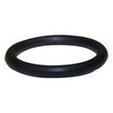 Shift Lever O-Ring NV247