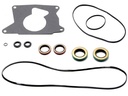 Quadra Trac-Track Gasket kit