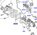 Gasket - EGR Cooler