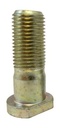 Pyörän pinnapultti, Suzuki