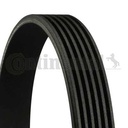Moniurahihna 6PK1555